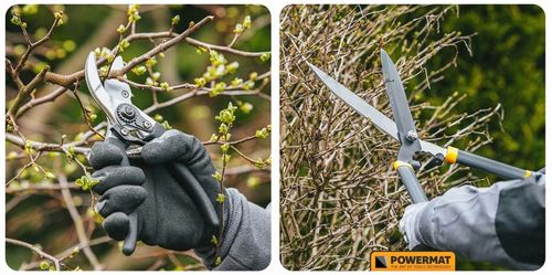 ZESTAW SEKATORÓW I NOŻYC OGRODOWYCH DO GAŁĘZI KRZEWÓW ŻYWOPŁOTU 3 SZT na Arena.pl