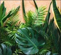 Tło do fotografii produktowej kulinarnej Flat Lay