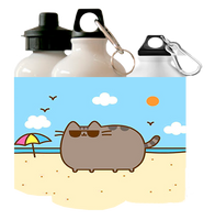 Bidon Pusheen