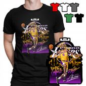 KOSZULKA T-SHIRT MĘSKI WZORY WYBÓR - Lebron James KOSZYKÓWKA NBA - L