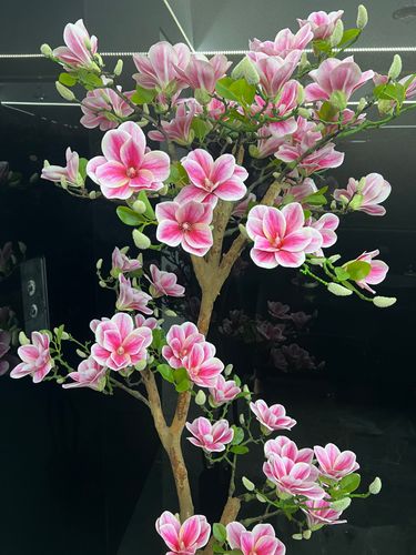 Sztuczne drzewko magnolia Premium 180 cm na Arena.pl