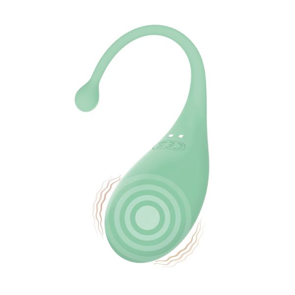 AD.Palpitation Mint (Huevo Vibrador + Cable + App) zdjęcie 1