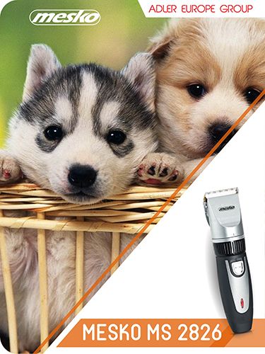 MS 2826 Strzyżarka dla zwierzt na Arena.pl