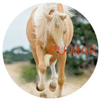 Opłatek na tort KONIE Koń Mustang Konik Kuc Urodziny Tekst Gratis