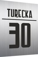 Tabliczka Tablica ADRESOWA dibond 30x20 NUMER DOMU srebrna dużo wzorów