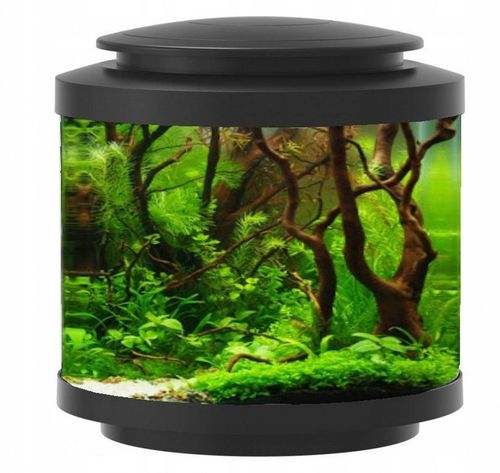 INVITAL LED cylindryczne akwarium 10l na Arena.pl