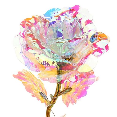 Wieczna róża tęczowa na Arena.pl