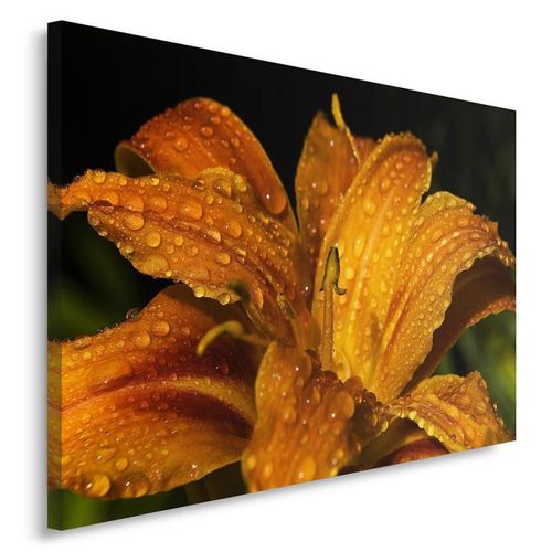 Obraz na płótnie - Canvas, Żółta lilia 40x30 na Arena.pl