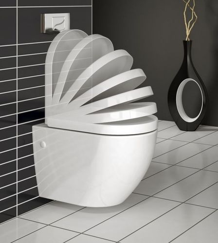 Misa WC Carlo na Arena.pl