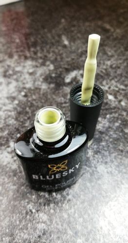 Bluesky SS1910 PALOMA na Arena.pl