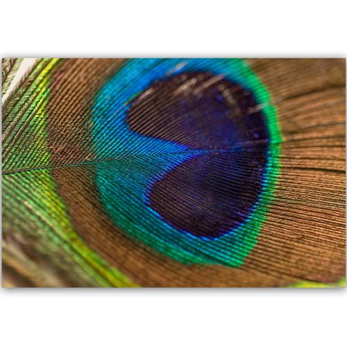 Deco Panel, Pawie oczko 90x60 na Arena.pl