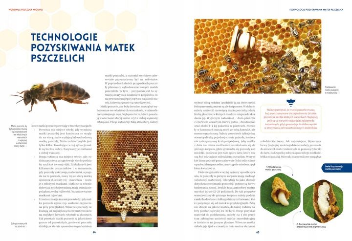 Pszczelarstwo, Jacek Nowak, Michał Piątek zdjęcie 2