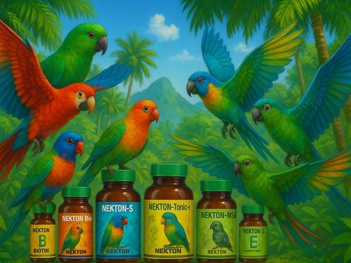 Multi witamina dla wszystkich papug NEKTON S 35g na Arena.pl