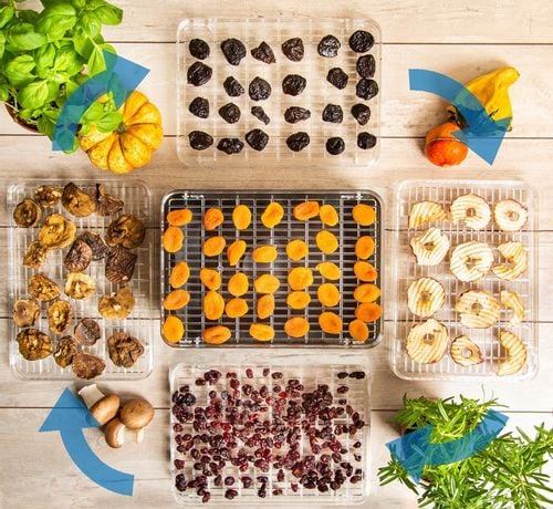 Suszarka do grzybów owoców DEHYDRATOR FIRST 240W First Austria na Arena.pl