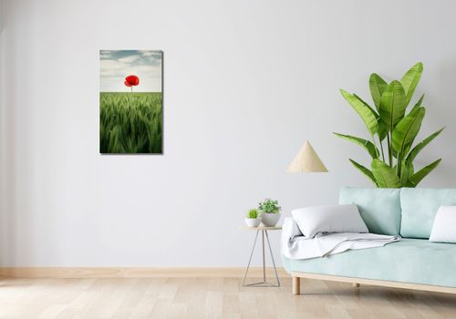 Obraz 40x70cm Samotny Mak na Polu na Arena.pl