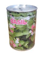 koniczyna w puszce DC38072