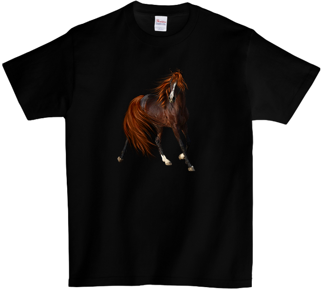 Koszulka T-shirt Konie zdjęcie 1
