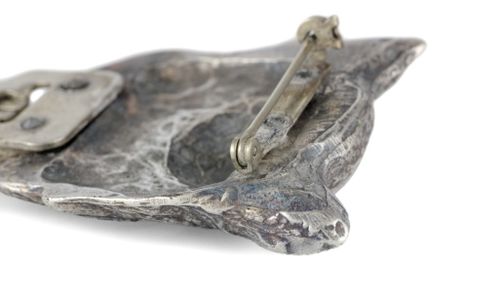 Chihuahua - klips - 2573 na Arena.pl