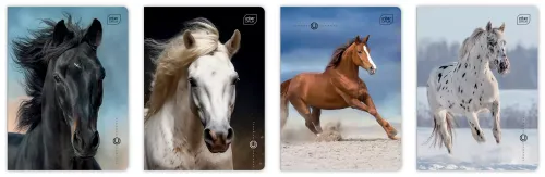 Zeszyt A5 16 Kartek Kolorowa Linia 70G Uv Wild Horses Interdruk na Arena.pl