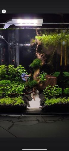 30 KG SUPER BIAŁY PIASEK KWARCOWY DO AKWARIUM 0,5m na Arena.pl