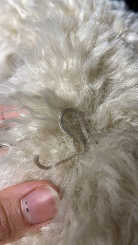 Lindex Jacket Longina M na Arena.pl