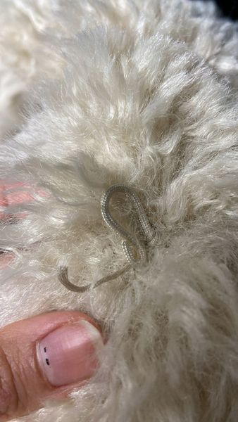 Lindex Jacket Longina M zdjęcie 5