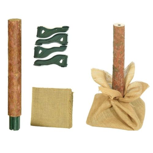 CHOINKA NA PNIU 160 CM SOSNA GÓRSKA PREMIUM JAK ŻYWA ŚWIĄTECZNA na Arena.pl