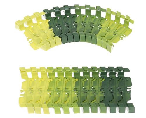 Tor - Park Dinozaurów na Arena.pl