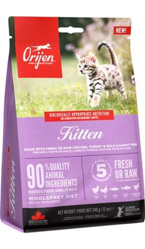 ORIJEN KITTEN 340 Gram na Arena.pl