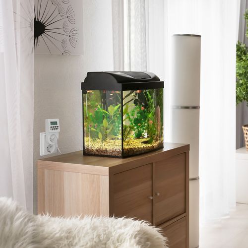 Programator Elektroniczny Czasowy do Gniazdka TIMER Wyświetlacz Wyłącznik na Arena.pl