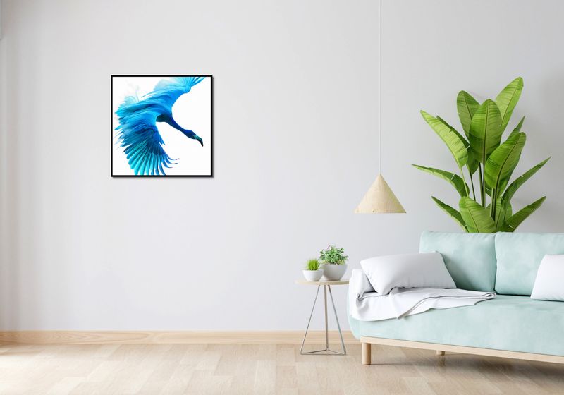 Plakat 60x60cm Błękitny Lot zdjęcie 4