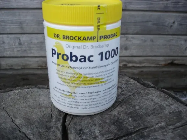 Probac 1000 Brockamp 500 g zdjęcie 1