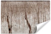 Fototapeta Do Sypialni WIERZBA Drzewo Liście Abstrakcja Beton 90cm x 60cm