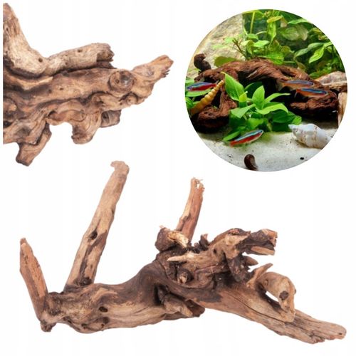 NATURALNY KORZEŃ DO AKWARIUM DESERT ROZMIAR M 20CM na Arena.pl