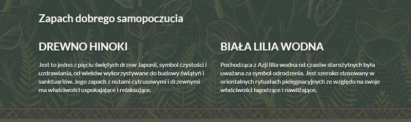 Tesori D`oriente Żel Pod Prysznic Forest Ritual 25 zdjęcie 6