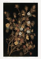 Plakat 21x29,7cm Japońskie Jesienne Kwiaty, G.A. Audsley do Salonu