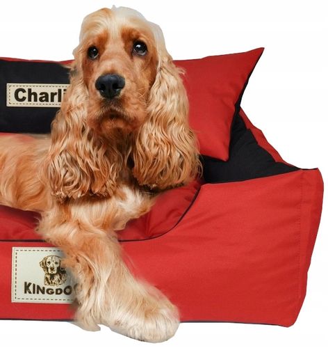 LEGOWISKO z IMIENIEM PSA 75x65 + KOCYK POLAROWY na Arena.pl