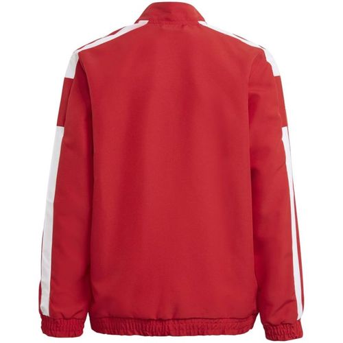Bluza adidas Squadra 21 Presentation Jacket Jr GP6439 128cm na Arena.pl
