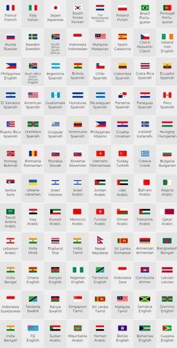 TŁUMACZ ELEKTRONICZNY TRANSLATOR DŁUGOPIS SKANER TEKSTU I MOWY NA ŻYWO na Arena.pl