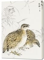 Obraz 70x100cm Quail, Kashu Japoński Vintage do Salonu