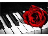 product-compare-58693828