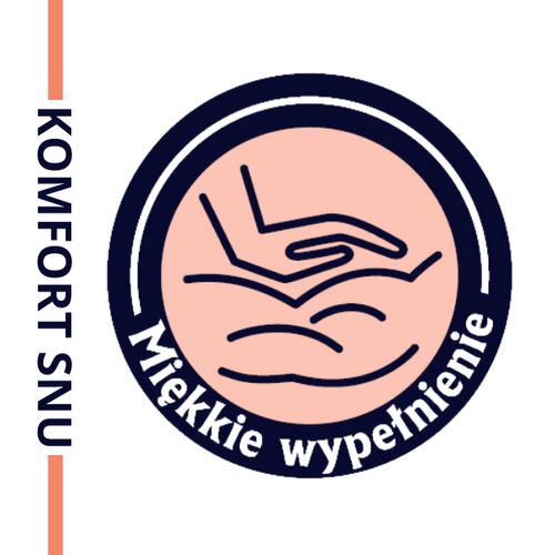 Poduszka  40x40cm CLASSIC COMFORT |Biała | Inter Widex na Arena.pl