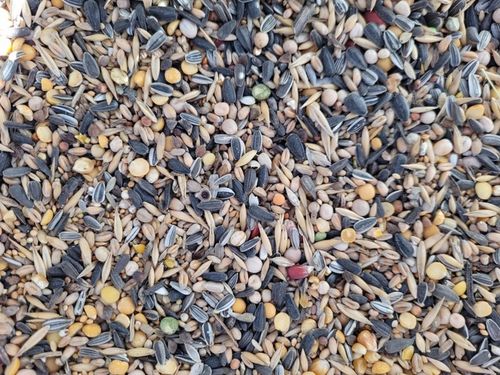 Karma ziarno pokarm dla ptaków zimujących ze słonecznikiem 20kg na Arena.pl