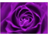 product-compare-58693603