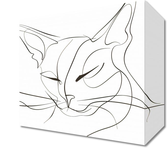 Obraz 20x20cm Linijny Kot zdjęcie 1