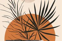 Plakat 45x30cm Palmowy Zachód