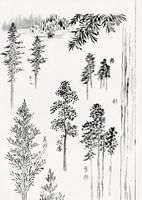 Plakat 67,5x95cm Pine Trees, Hokusai Japoński Vintage do Salonu