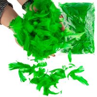 PIÓRA OZDOBNE PIÓRKA DEKORACYJNE 10G ZIELONE WIELK