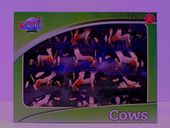 Krowy 12szt 571929 67509.