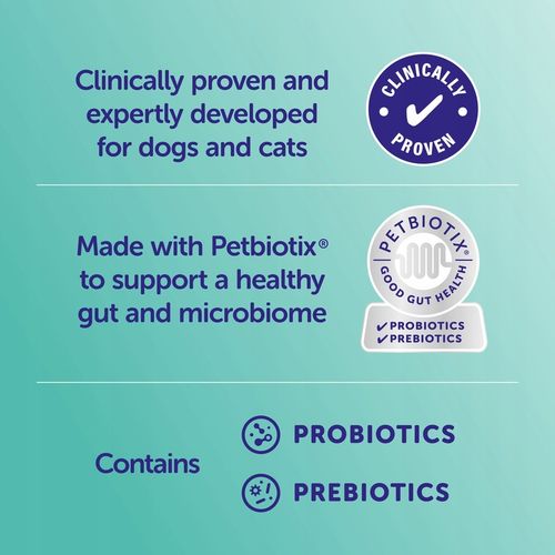 Protexin Synbiotic D-C Pies/Kot 50 kaps Probiotyk,Prebiotyk na Arena.pl